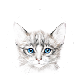 cat_blue