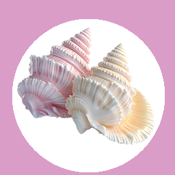 conches