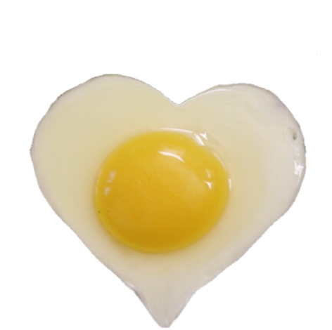 egg