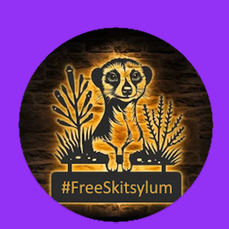 freeskitsylum