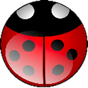 ladybug