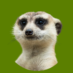 meerkat3