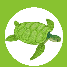 newturtle