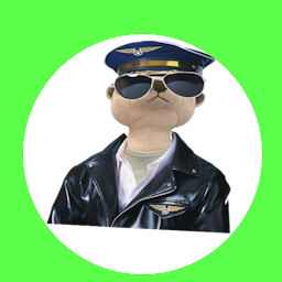 pilot