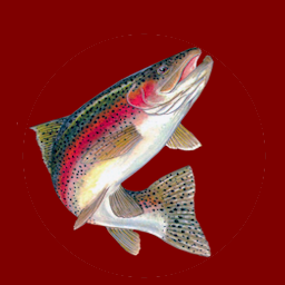 rainbowtrout
