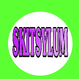 skitsylumneon1