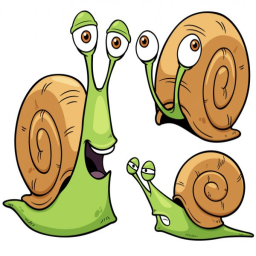 snail