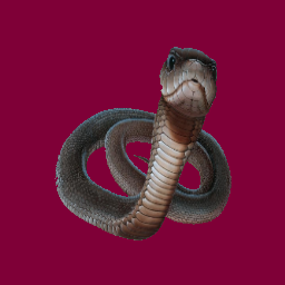 snake
