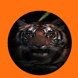 tiger2