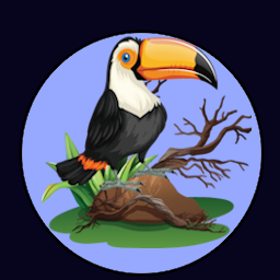toucan