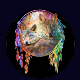 wolfdreamcatcher